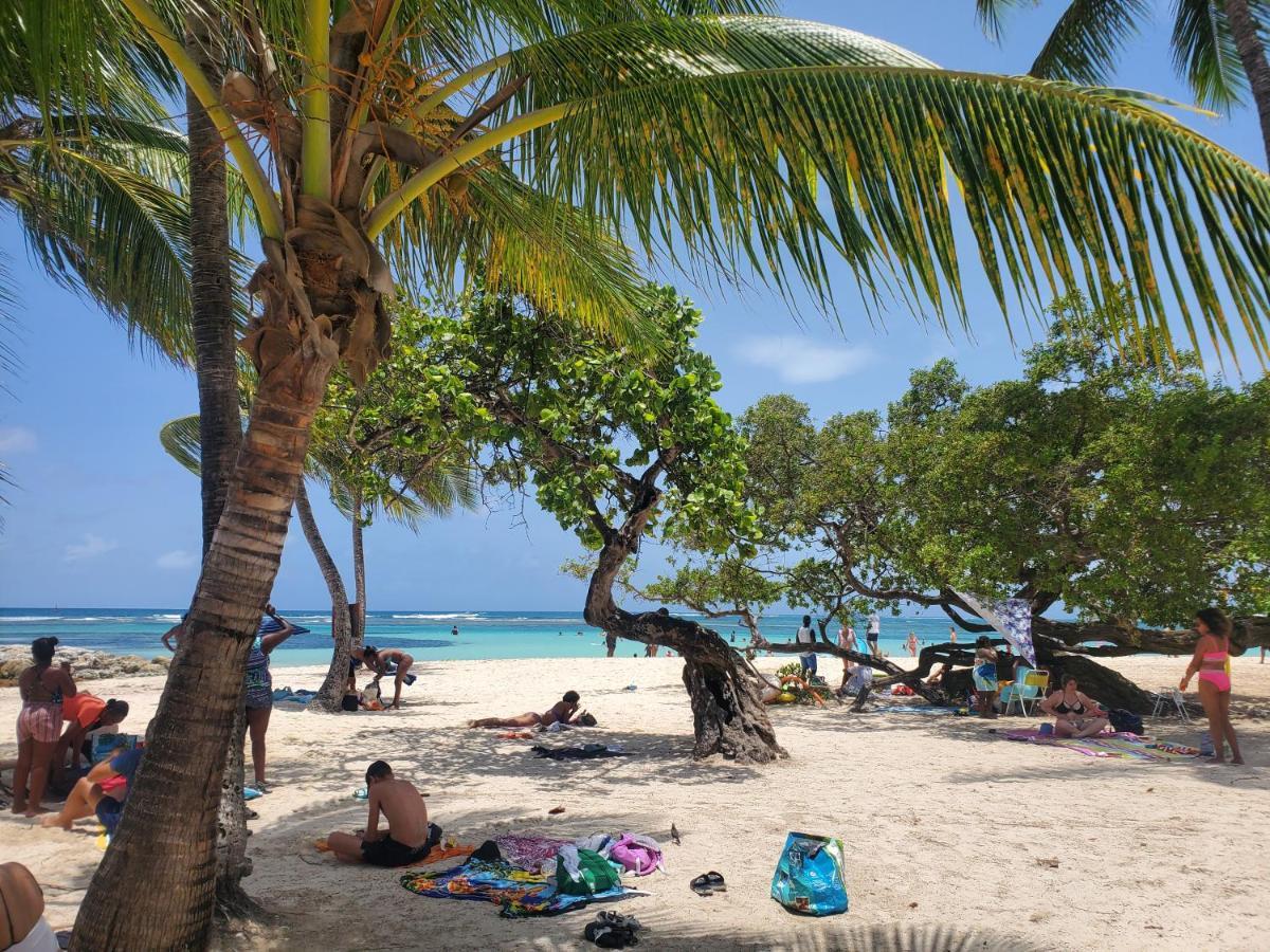 Villa L'Anjou Creole A Sainte Anne En Guadeloupe Avec Piscine Privee Et 2 Chambres Pour 4 Personnes Eksteriør bilde