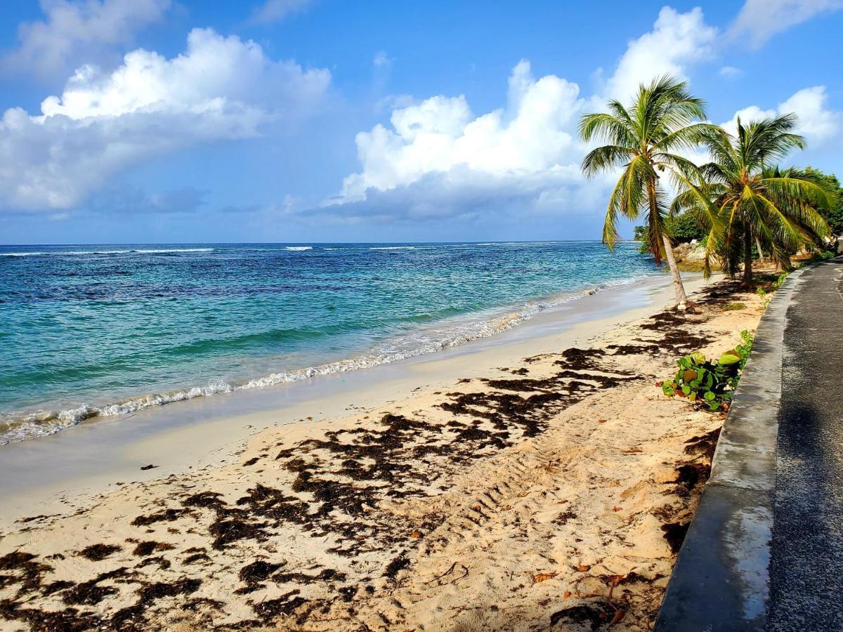 Villa L'Anjou Creole A Sainte Anne En Guadeloupe Avec Piscine Privee Et 2 Chambres Pour 4 Personnes Eksteriør bilde