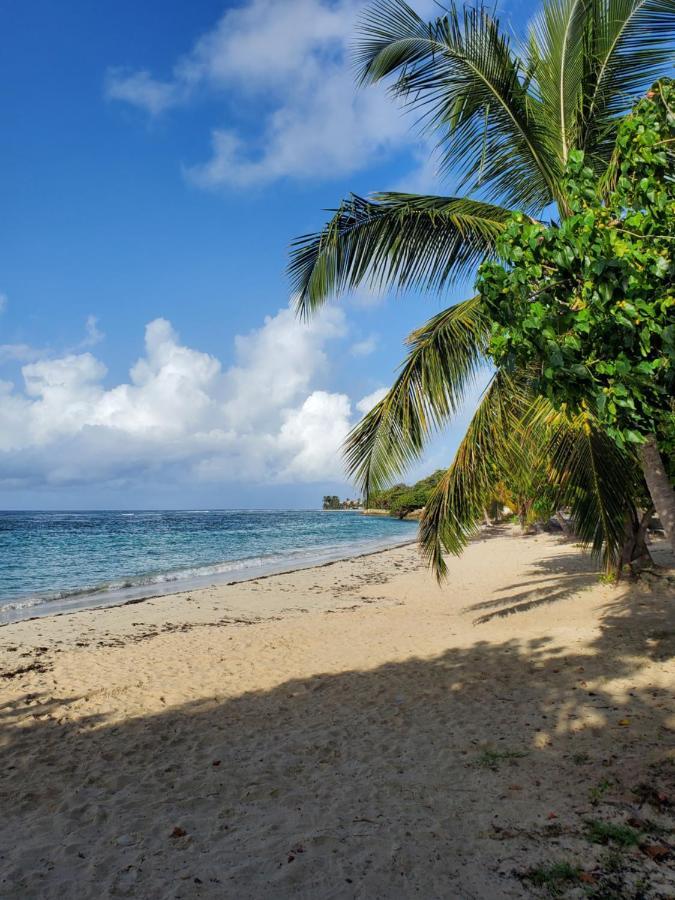 Villa L'Anjou Creole A Sainte Anne En Guadeloupe Avec Piscine Privee Et 2 Chambres Pour 4 Personnes Eksteriør bilde