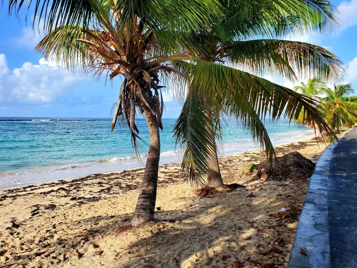 Villa L'Anjou Creole A Sainte Anne En Guadeloupe Avec Piscine Privee Et 2 Chambres Pour 4 Personnes Eksteriør bilde