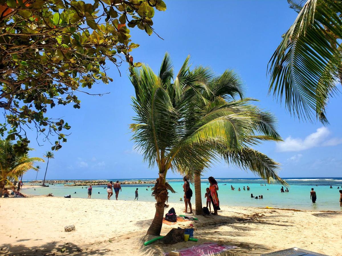 Villa L'Anjou Creole A Sainte Anne En Guadeloupe Avec Piscine Privee Et 2 Chambres Pour 4 Personnes Eksteriør bilde