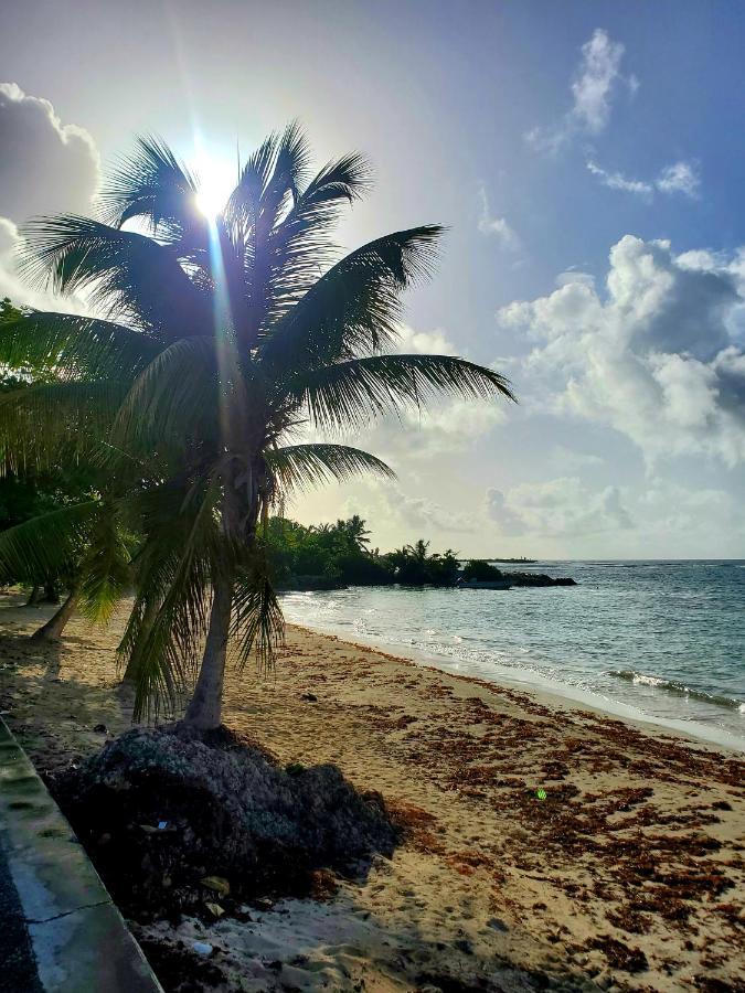 Villa L'Anjou Creole A Sainte Anne En Guadeloupe Avec Piscine Privee Et 2 Chambres Pour 4 Personnes Eksteriør bilde
