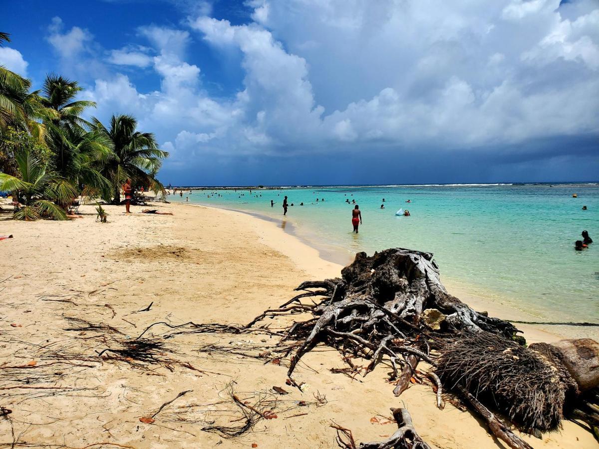 Villa L'Anjou Creole A Sainte Anne En Guadeloupe Avec Piscine Privee Et 2 Chambres Pour 4 Personnes Eksteriør bilde