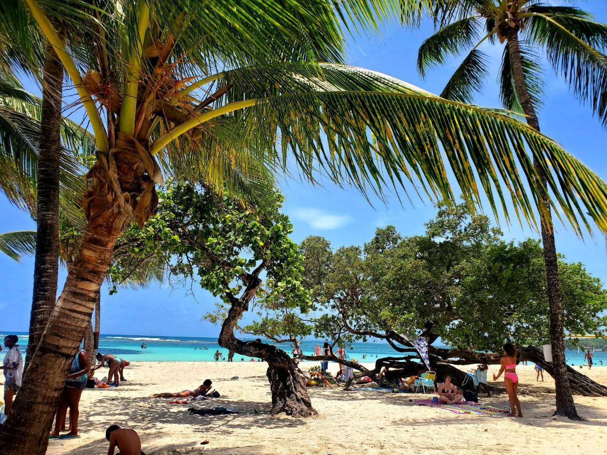 Villa L'Anjou Creole A Sainte Anne En Guadeloupe Avec Piscine Privee Et 2 Chambres Pour 4 Personnes Eksteriør bilde