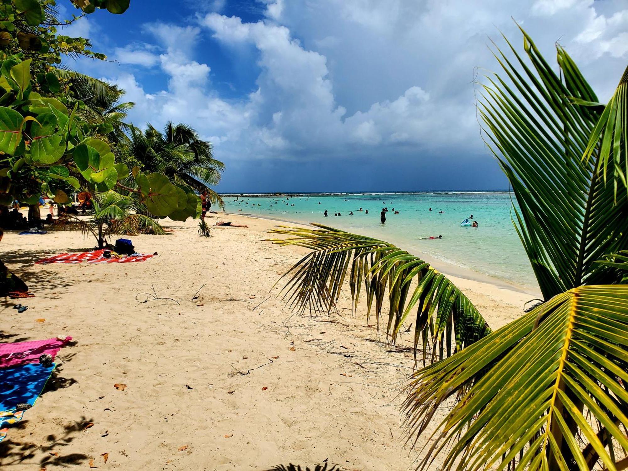 Villa L'Anjou Creole A Sainte Anne En Guadeloupe Avec Piscine Privee Et 2 Chambres Pour 4 Personnes Eksteriør bilde