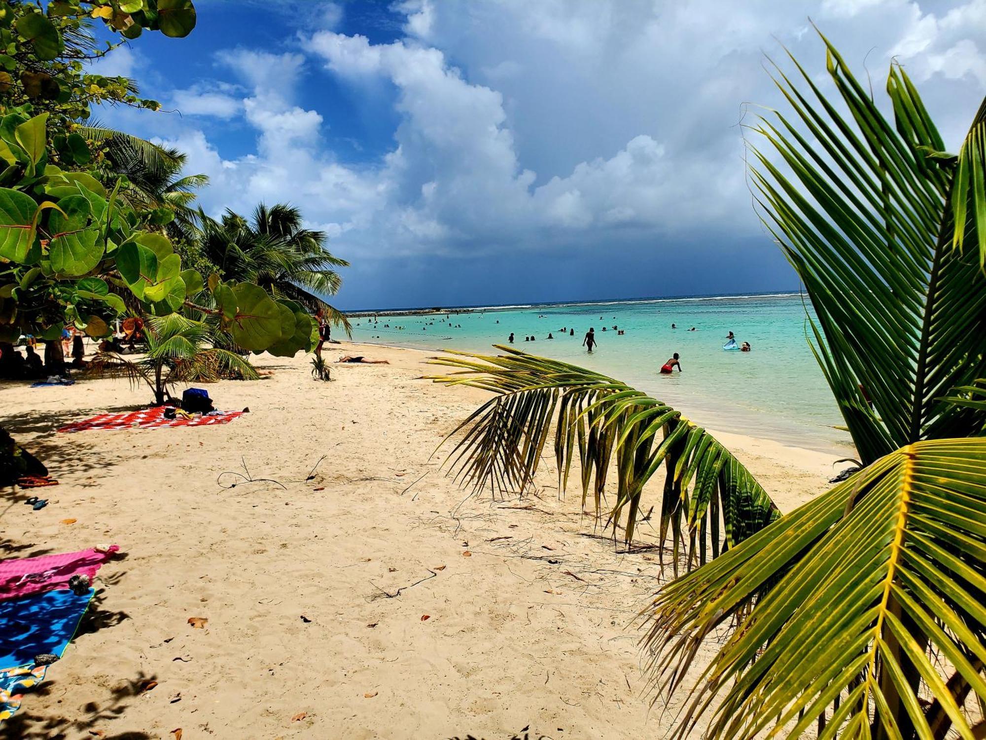 Villa L'Anjou Creole A Sainte Anne En Guadeloupe Avec Piscine Privee Et 2 Chambres Pour 4 Personnes Eksteriør bilde